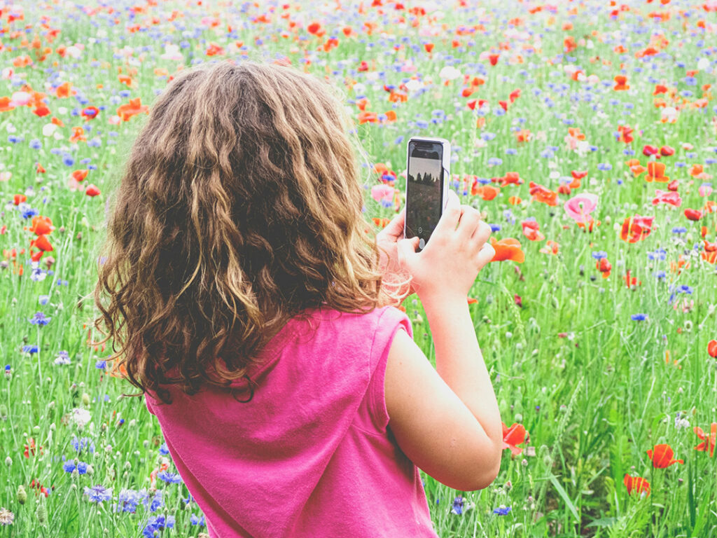 Back of young girl in pink shirt using smartphone to take picture of the field of flowers she is standing in.